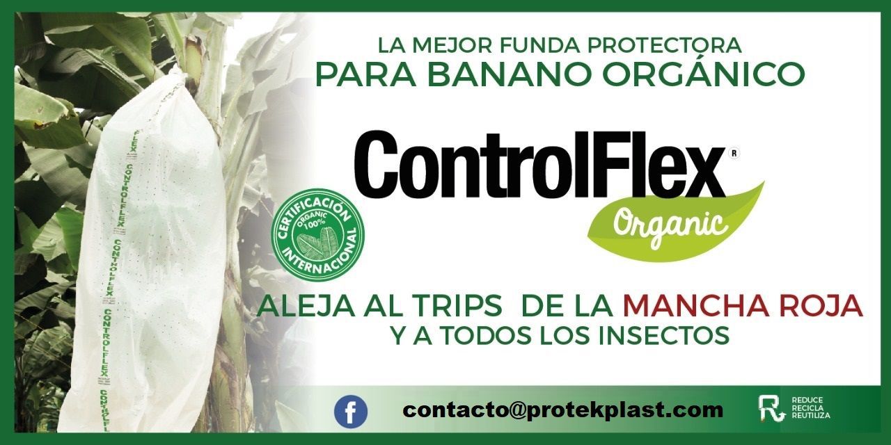 Imagen de Odoo y bloque de texto